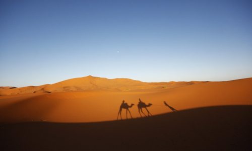 Circuito Ciudades imperiales y deserto 8 Dias